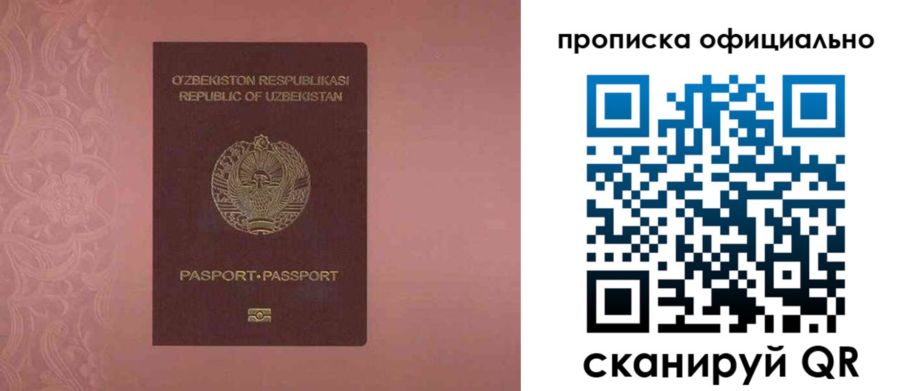 прописка гарантия в Сасово